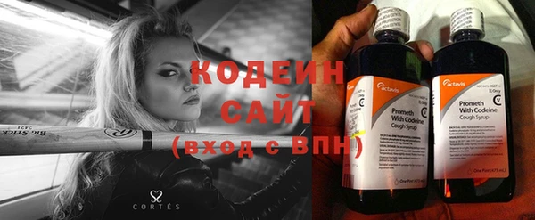 ПСИЛОЦИБИНОВЫЕ ГРИБЫ Богданович