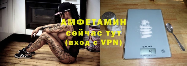 ПСИЛОЦИБИНОВЫЕ ГРИБЫ Богданович