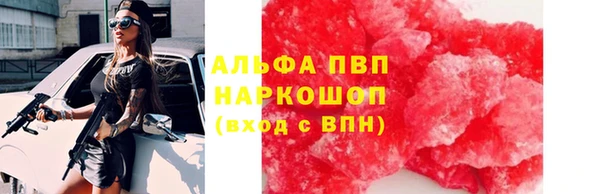 ПСИЛОЦИБИНОВЫЕ ГРИБЫ Богданович