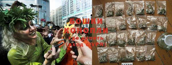 ПСИЛОЦИБИНОВЫЕ ГРИБЫ Богданович