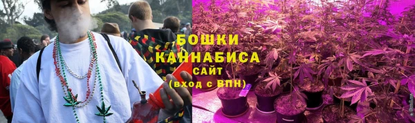 ПСИЛОЦИБИНОВЫЕ ГРИБЫ Богданович