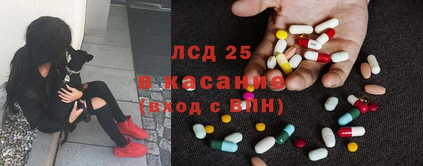 ПСИЛОЦИБИНОВЫЕ ГРИБЫ Богданович