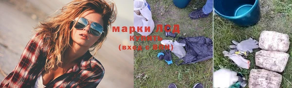 стаф Богородск