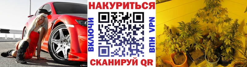 МАРИХУАНА планчик Навашино